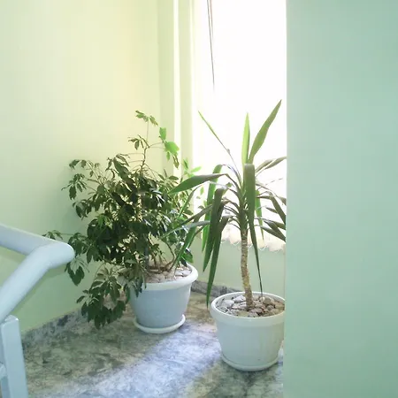 Vasima بريمورسكو